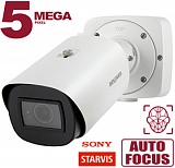 IP камера SV3218RBZ