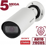 IP камера SV3218RZ