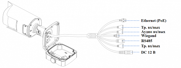 IP камера SV4219RBZ-LP